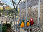 IMG_6525.jpg