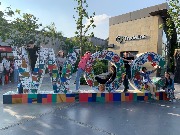 IMG_6561.jpg