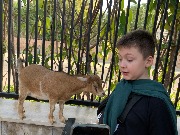 IMG_6540.jpg