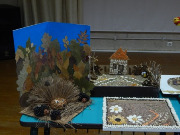 DSCN9684.JPG