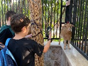 IMG_6545.jpg