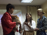IMG-f02571934c9265f28400336f2a30e6f0-V.jpg