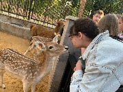 IMG_6528.jpg