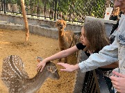 IMG_6531.jpg