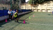 DSC_1462.JPG