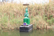 IMG_7395.JPG